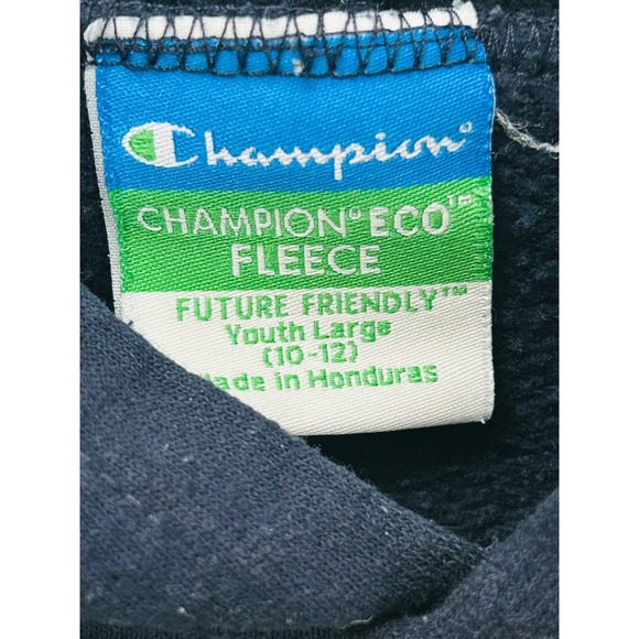 Champion University of Michigan Hoodie Sweatshirt Pullover Eco Fleece Youth L - Picture 4 of 5